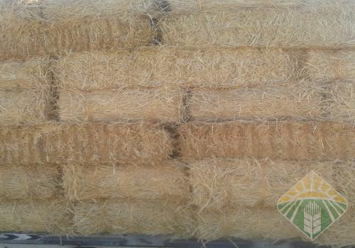 تبن باله ٣ حبال